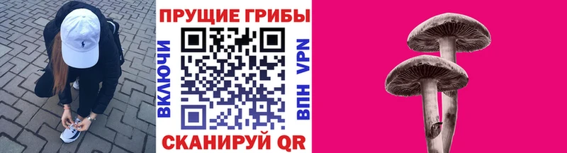 Псилоцибиновые грибы Cubensis  Купить  Вилюйск 